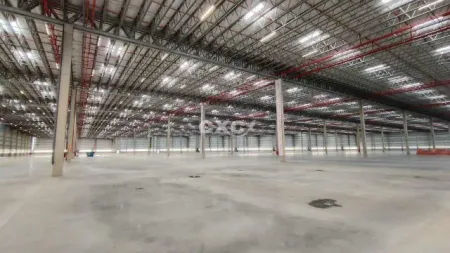 Galpão Industrial com Docas para locação - São Bernardo do Campo