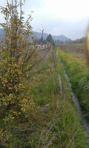 Hermoso terreno en Sector Vaticano, Requínoa