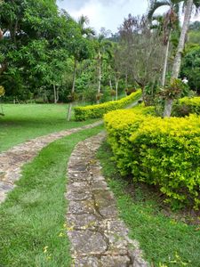 Inmueble en Venta, Finca en Fusagasugá, Fusagasuga