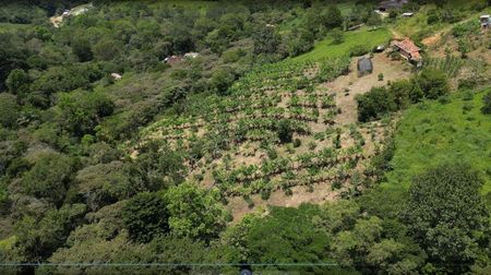 Inmueble en Venta, Finca en San Gil, EL VERGEL Foto 2 de 8