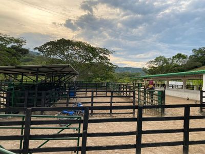 Inmueble en Venta, Finca en Tocaima, El Progreso