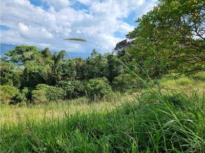 Lote campestre a 1 km de la autopista del cafe