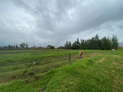 Lote en Venta