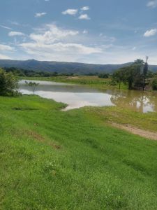 Lote en Venta en Carmen de Apicalá