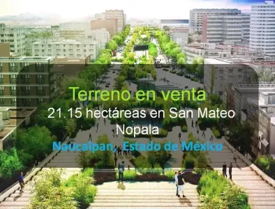 Lote en Venta en Cercanía de San Mateo Nopala, San Mateo Nopala