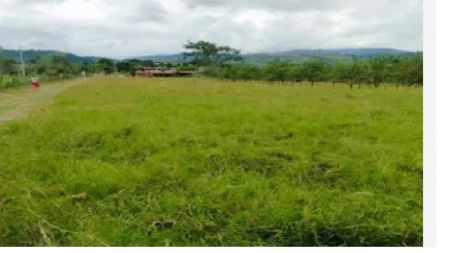 Lote en Venta en Cuisinde, Palermo