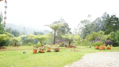 Lote en Venta en El tablazo, Rionegro Foto 2 de 10