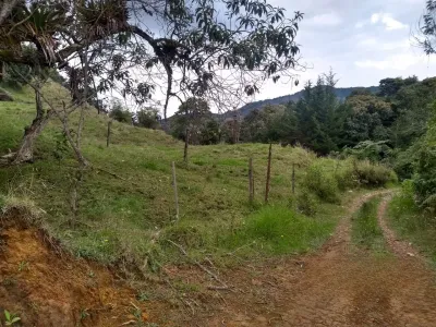 Lote en Venta en El tambo, La ceja