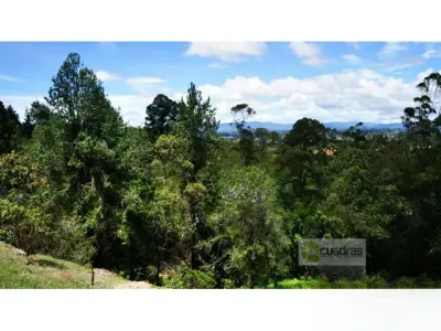 Lote en Venta en La clara, Guarne Picture 1 of 15