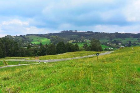 Lote en Venta en Las Palmas, Envigado