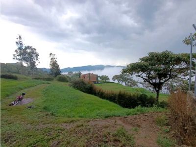 Lote en Venta en Los Balsos, Medellín