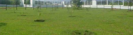 Lote en Venta en Mariquita