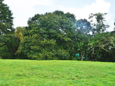 Lote en Venta en Mesa, Envigado