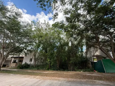 Lote en Venta en Na, Cabo Norte