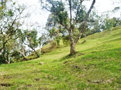 Lote en Venta en Palmas, Envigado Foto 1 de 10