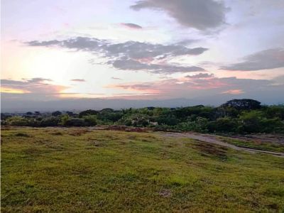 Lote en Venta en Palmira