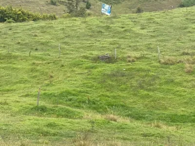 Lote en Venta en Pantanillo, El Retiro