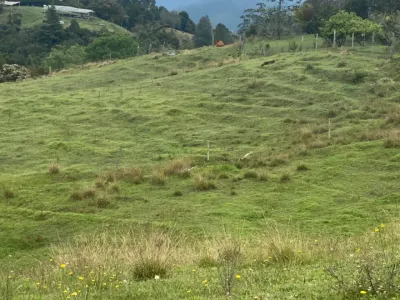 Lote en Venta en Pantanillo, El Retiro