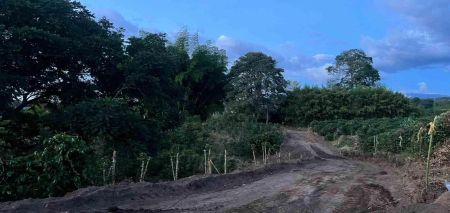 Lote en Venta en Quimbaya