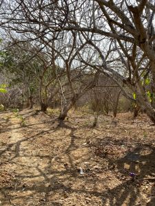 Lote en Venta en San luis, Tubará Foto 1 de 6