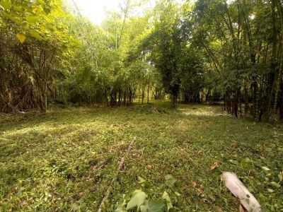 Lote en Venta en Santa elena, El cerrito