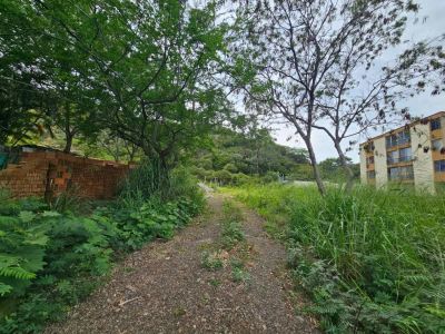 Lote en Venta en Sector cañaveralejo guadalupe, Cali Foto 3 de 13