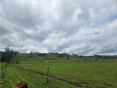 Lote en Venta en Tunja Imagem 4 de 18