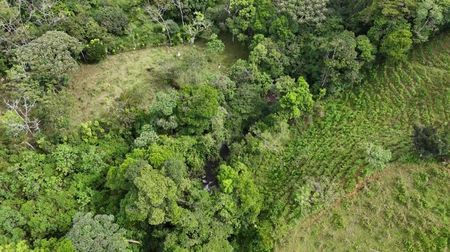 LOTE EN VENTA: HERMOSA PROPIEDAD DE MÁS DE 1 ACRE, TERRENO PLANO Y QUEBRADA EN MIRAFLORES, PÉREZ ZELEDÓN