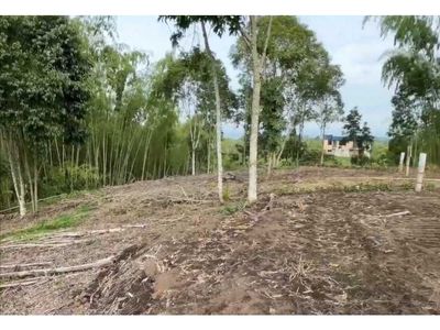 Lote para la venta en Alcalá Valle