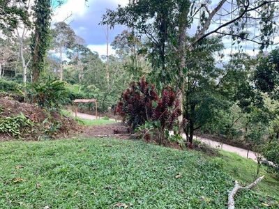 MLS-25-1078 VENTA FINCA LA ISABEL TURRIALBA