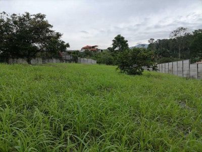 MLS-25-1080 VENTA LOTE LA DOMINICA TURRIALBA