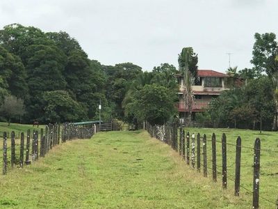 MLS-25-1082 VENTA FINCA CON CASA GUACIMO LIMON Foto 7 de 7