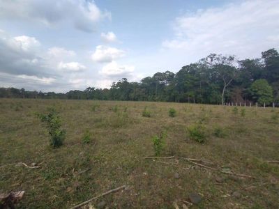 MLS-25-1083 VENTA LOTE FLORENCIA SAN CARLOS