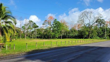 MLS-25-1361 VENTA LOTE MATAMA LIMON