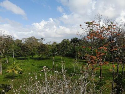 MLS-25-1361 VENTA LOTE MATAMA LIMON Foto 5 de 9