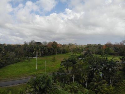 MLS-25-1361 VENTA LOTE MATAMA LIMON Foto 9 de 9