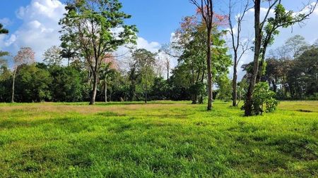 MLS-25-1361 VENTA LOTE MATAMA LIMON Foto 3 de 9