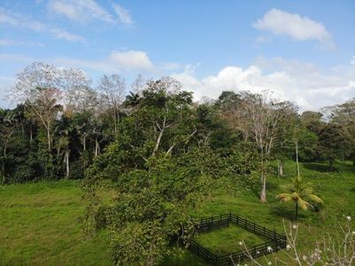 MLS-25-1361 VENTA LOTE MATAMA LIMON Foto 7 de 9