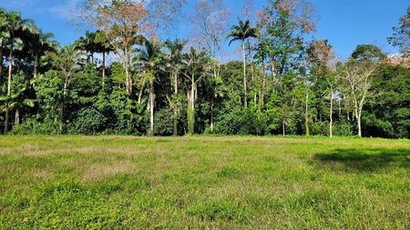 MLS-25-1361 VENTA LOTE MATAMA LIMON Foto 4 de 9