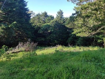 MLS-25-1371 LS VENTA LOTE BARVA HEREDIA Foto 5 de 7