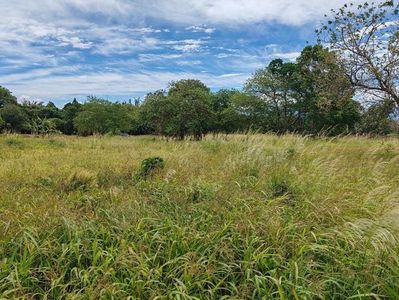 MLS-25-1447 LS VENTA LOTE DESAMPARADOS ALAJUELA Foto 4 de 8