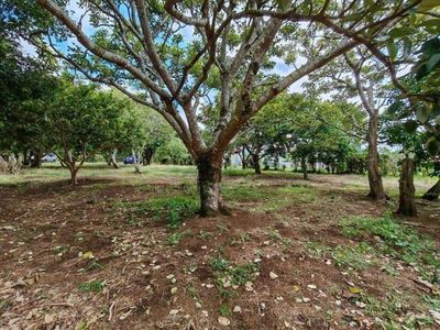 MLS-25-1922 VENTA CASA SAN RAFAEL HEREDIA Foto 8 de 9