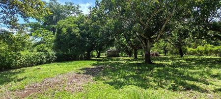 MLS-25-1948 LS VENTA LOTE LA CEIBA OROTINA Foto 2 de 10