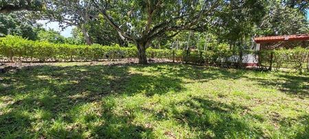 MLS-25-1948 LS VENTA LOTE LA CEIBA OROTINA Foto 3 de 10