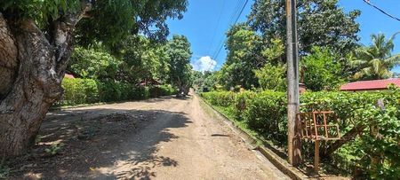 MLS-25-1948 LS VENTA LOTE LA CEIBA OROTINA Foto 10 de 10