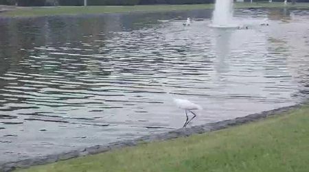 MLS-25-1996 (NR) ALQUILER APARTAMENTO EN SANTA ANA