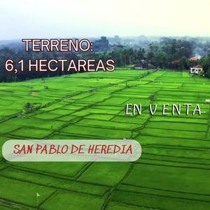 MLS-25-729 LS VENTA FINCA SAN PABLO HEREDIA