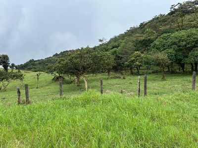 MLS-26-18 LS VENTA LOTE PALMITAL PUNTARENAS