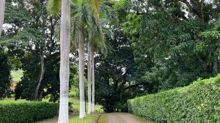 MLS-26-182 LS VENTA LOTE SAN PEDRO TURRUBARES Foto 1 de 7