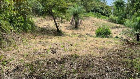 MLS-26-182 LS VENTA LOTE SAN PEDRO TURRUBARES Foto 3 de 7